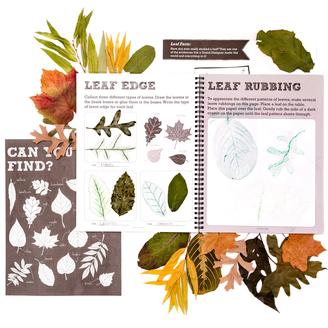 Nature Notebook - Image 10