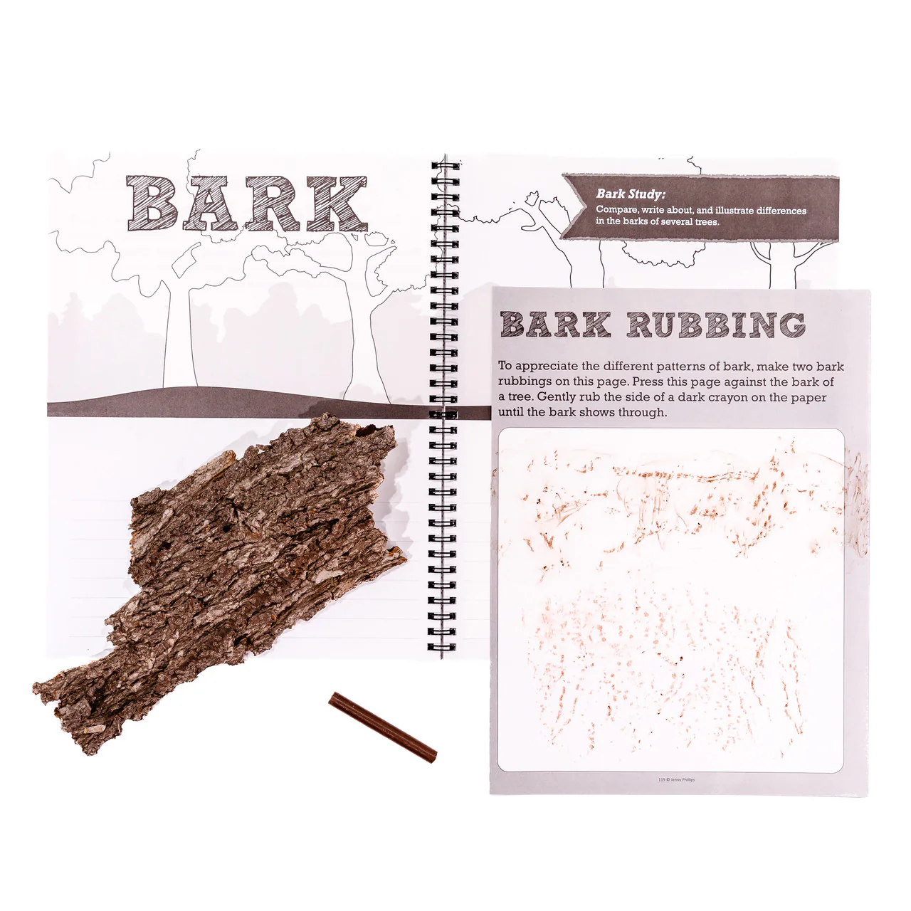 Nature Notebook - Image 6