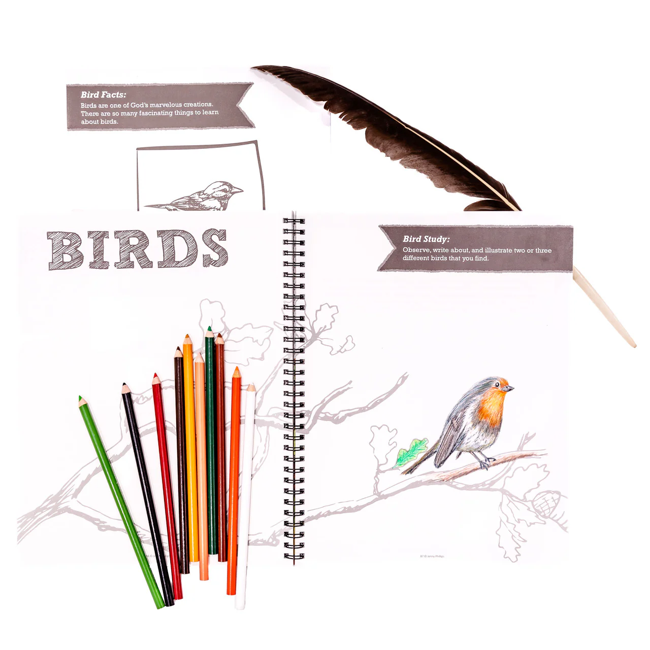 Nature Notebook - Image 7